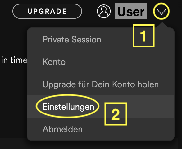 Screenshot der Spotify Desktop Anwendung
