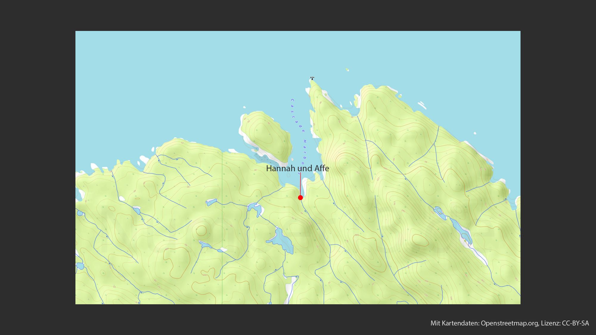Topografische Karte, die eine hügelige Landschaft mit gelben und grünen Farbtönen darstellt. Ein roter Punkt, markiert mit einem Pfeil, ist beschriftet mit "Hannah und Affe" und positioniert in der Nähe der Küstenlinie. Mehrere blaue Linien, welche Flüsse oder Bäche repräsentieren könnten, sind über das Terrain verteilt. In der unteren Ecke des Bildes befindet sich der Hinweis "Mit Kartendaten: Openstreetmap.org, Lizenz: CC-BY-SA